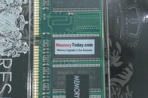 DSCF5381.JPG