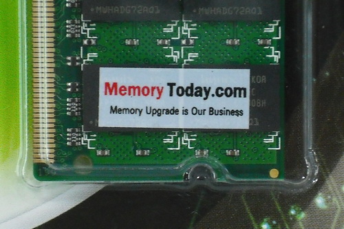 DSCF5446.JPG
