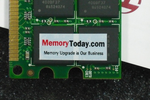 DSCF5547.JPG