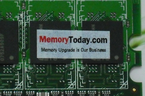 DSCF6393.JPG
