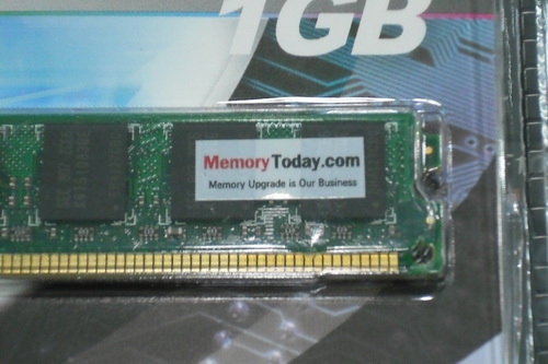 DSCF6448.JPG