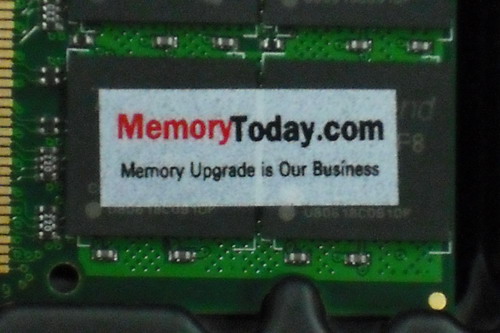 DSCF6452.JPG