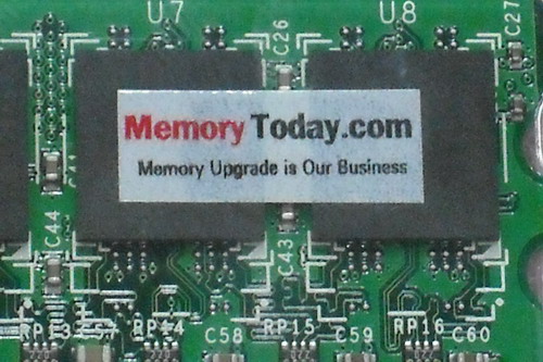 DSCF6481.JPG