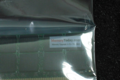 DSCF6495.JPG