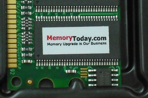 DSCF6495.JPG