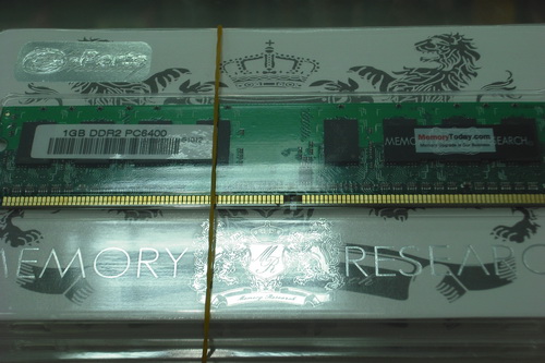 DSCF6564.JPG