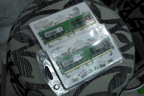 DSCF6942.JPG