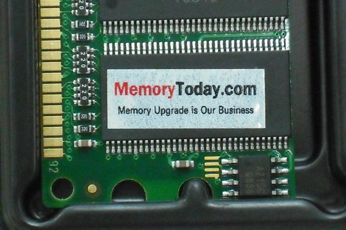DSCF6952.JPG