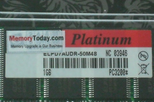 DSCF7173.JPG