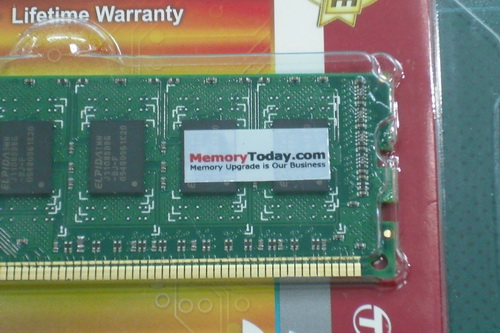 DSCF7255.JPG