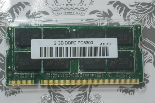 DSCF7295.JPG