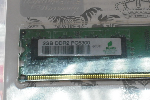 DSCF7303.JPG