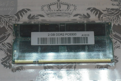 DSCF7309.JPG