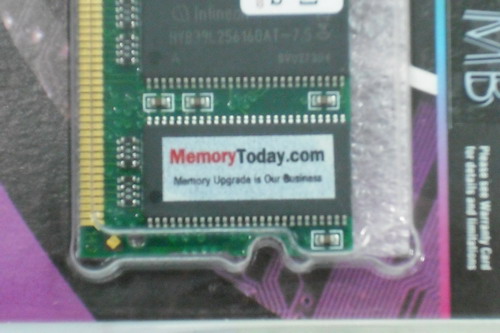 DSCF7334.JPG