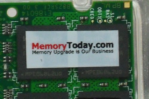 DSCF7372.JPG