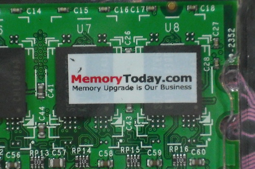 DSCF7454.JPG