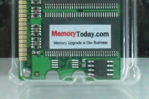 DSCF7503.JPG