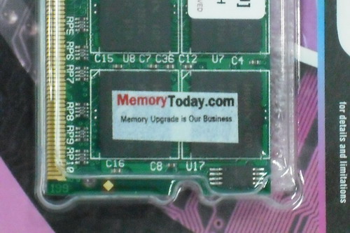 DSCF7534.JPG