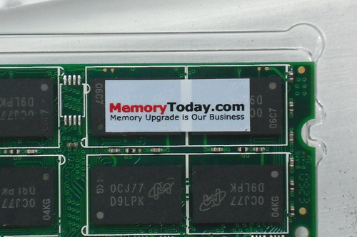 DSCF7536.JPG