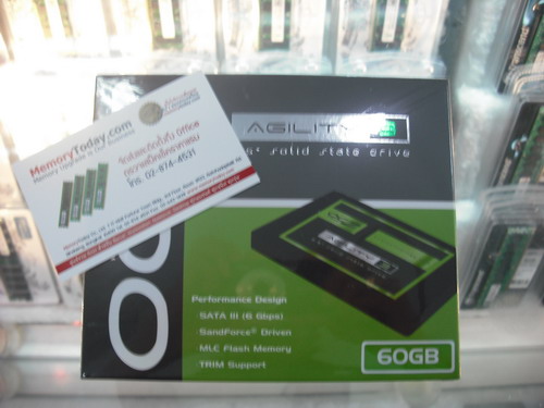 DSCF7549.JPG