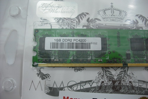 DSCF7565.JPG