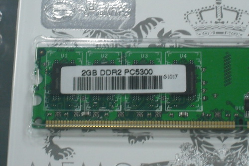 DSCF7744.JPG