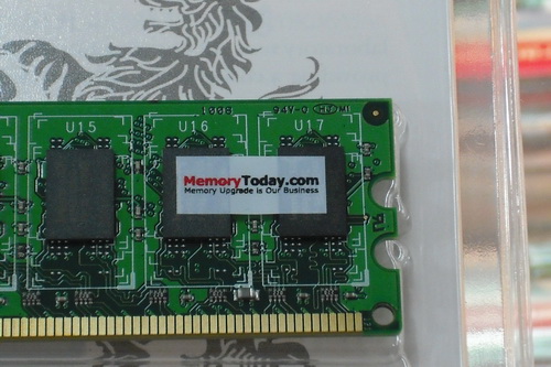 DSCF7821.JPG