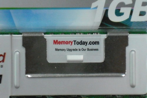 DSCF7849.JPG