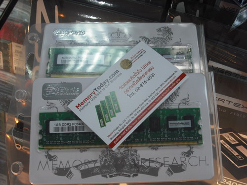 DSCF7853.JPG