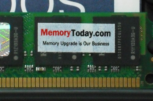 DSCF7919.JPG