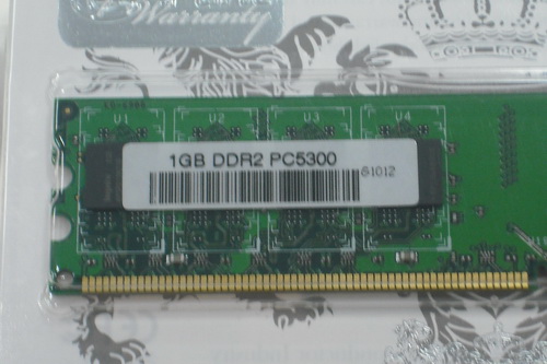 DSCF8033.JPG