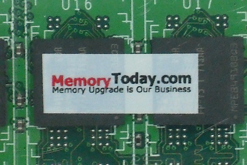 DSCF8098.JPG