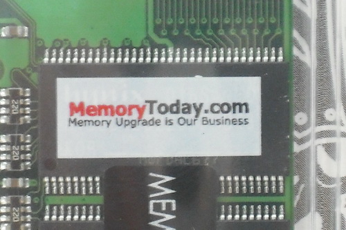 DSCF8144.JPG