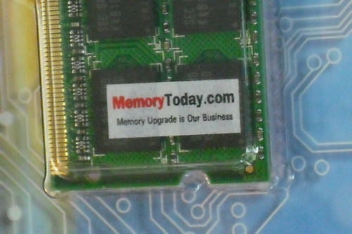 DSCF8155.JPG