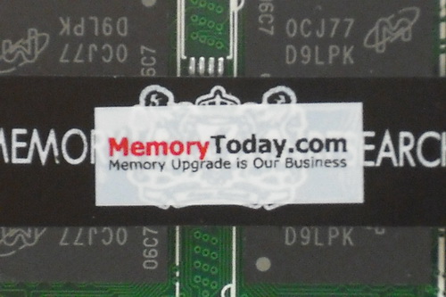 DSCF8170.JPG