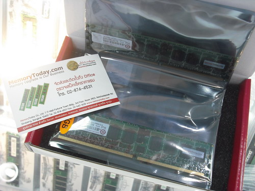 DSCF8181.JPG