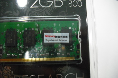 DSCF8246.JPG