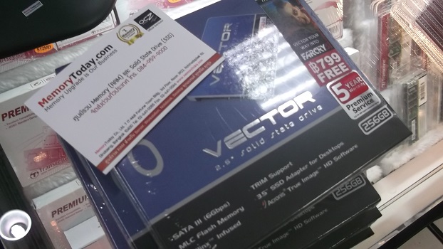 DSCF8251.JPG