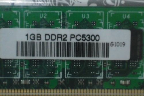 DSCF8259.JPG