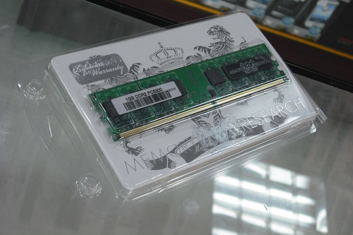 DSCF8260.JPG