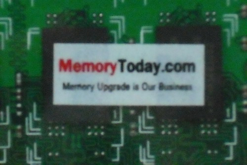 DSCF8330.JPG