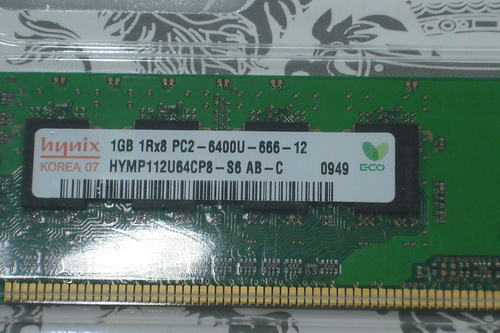 DSCF8372.JPG