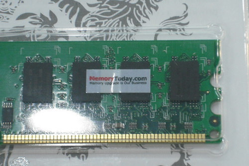 DSCF8377.JPG