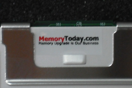 DSCF8390.JPG