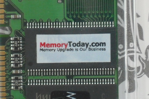 DSCF8395.JPG