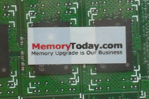 DSCF8425.JPG