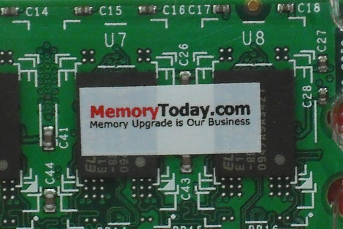 DSCF8432.JPG