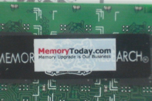 DSCF8438.JPG