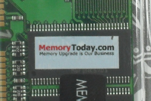 DSCF8446.JPG