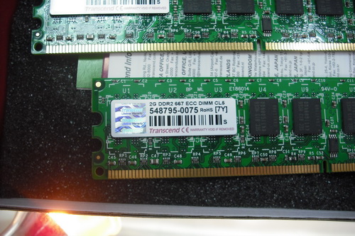 DSCF8462.JPG